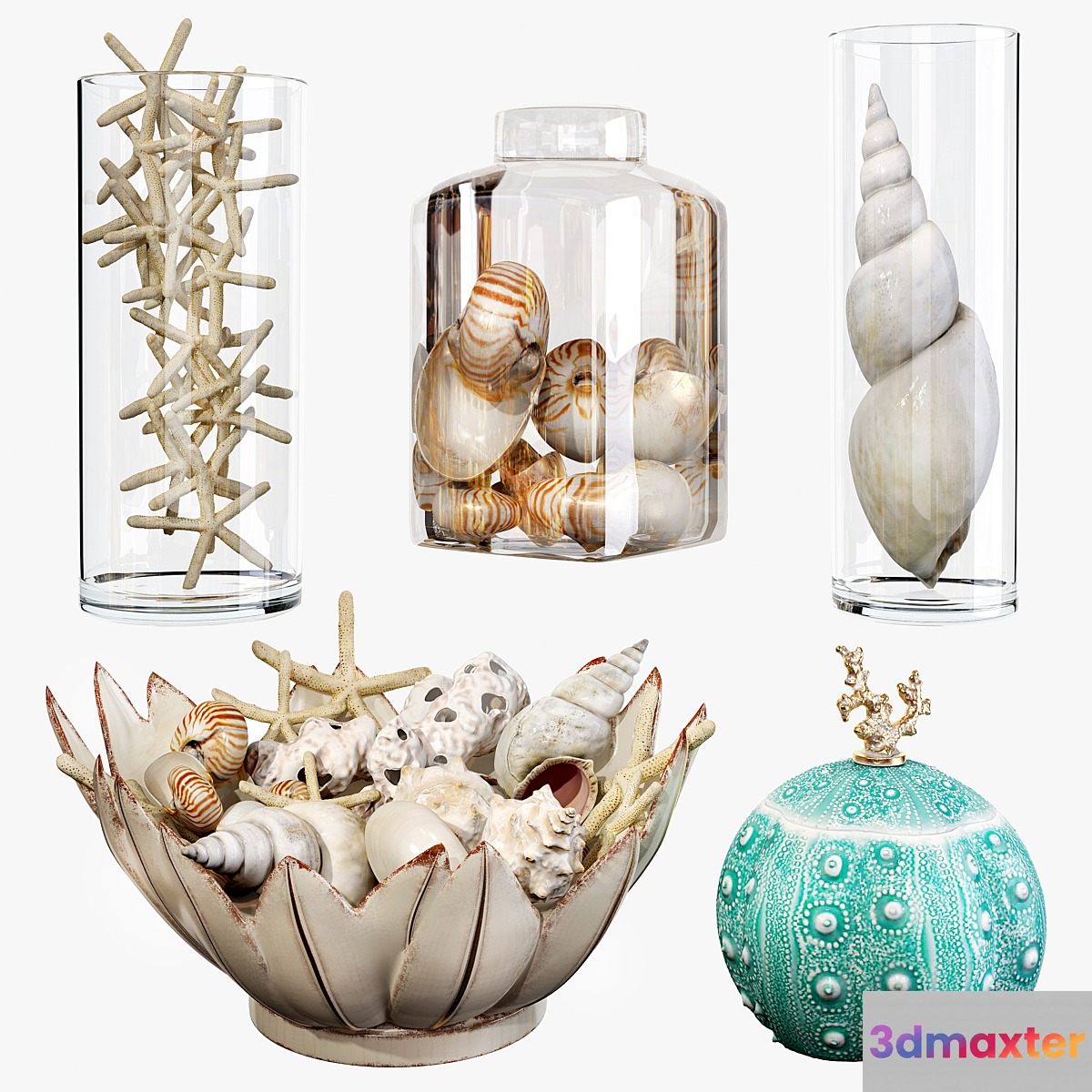 Sea shell decorative set 01 3D Max
