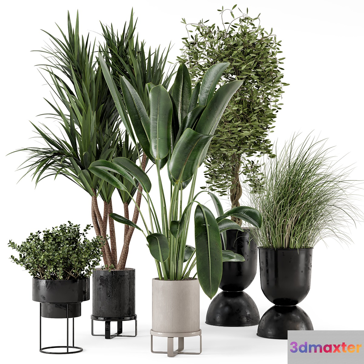 Indoor Plants in Ferm Living Bau Pot Large - Set 312