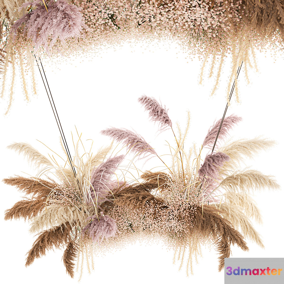 Suspended installation of dried flowers from pampas Pampas grass suspension branches wedding decoration. Bouquet 200. 3D Max