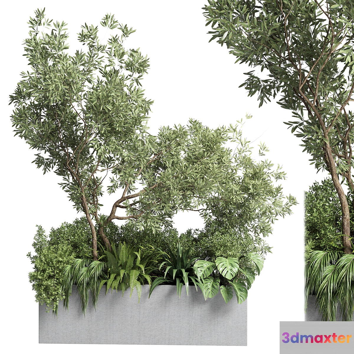 Collection outdoor plant 68 pot plant bush grass and tree and palm concrete vase bax