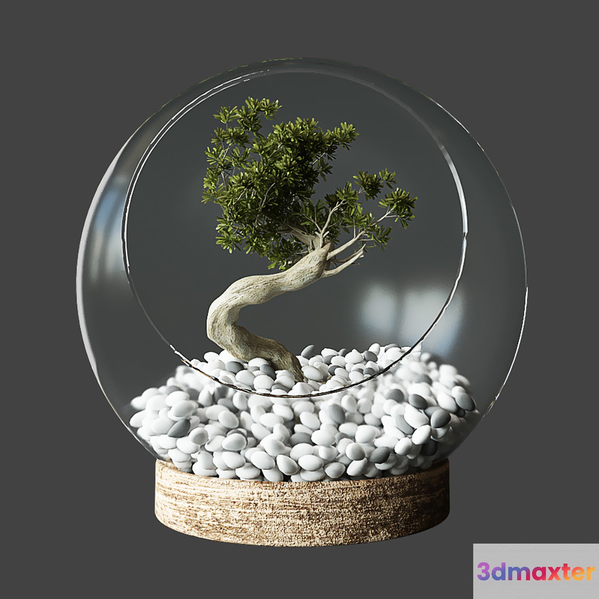 Little Tree In Glass Globe - No.2