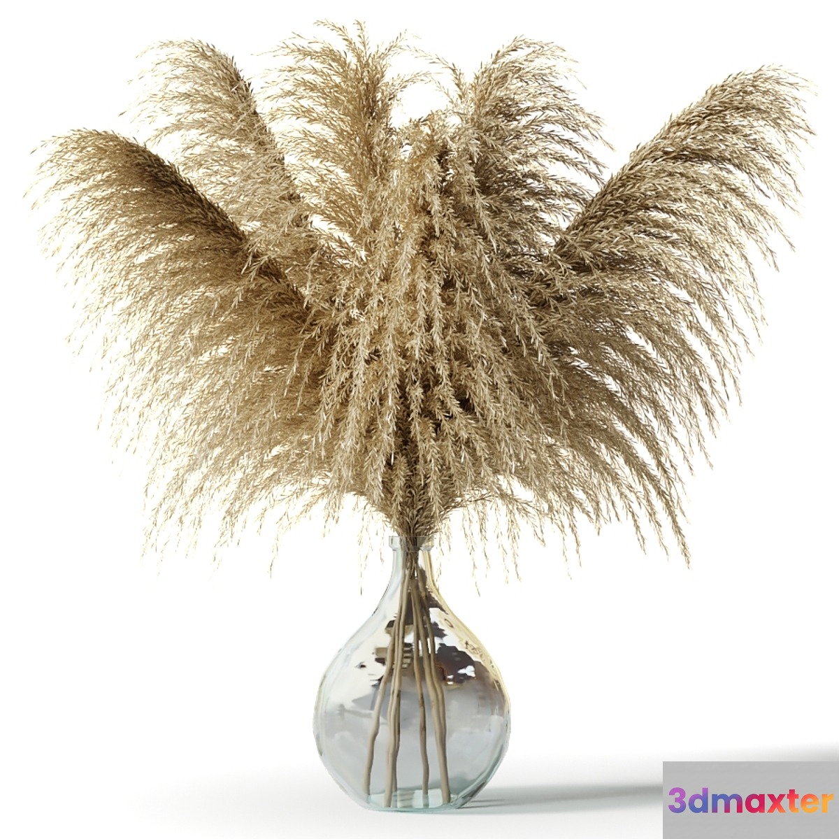 Pampas grass in a glass vase - Sofia Bouquet