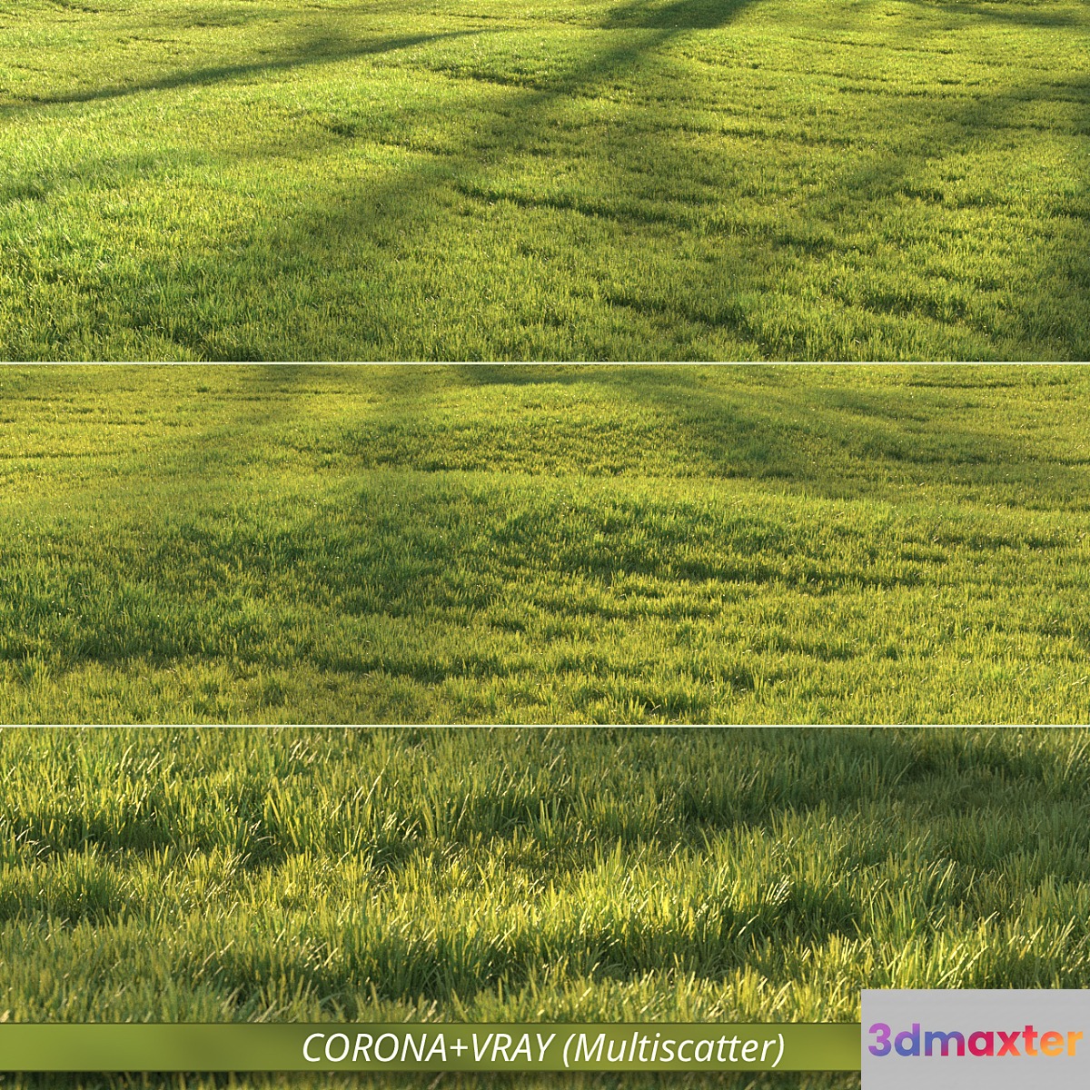 Sunny lawn