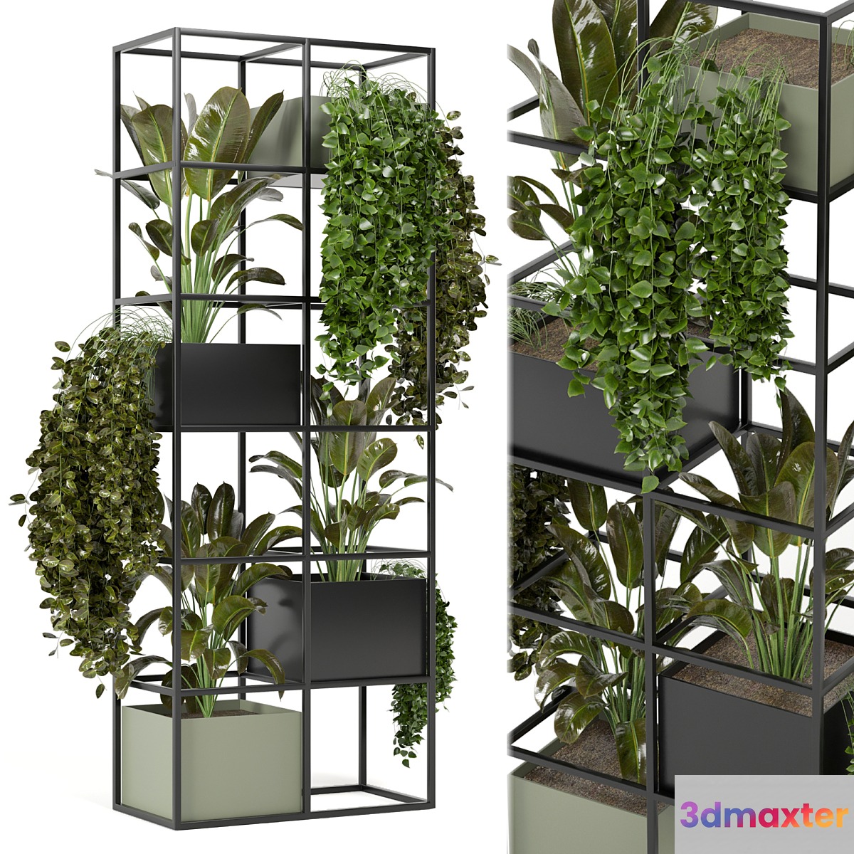 indoor plants in rusty concrete pot on metal shelf - Set 122