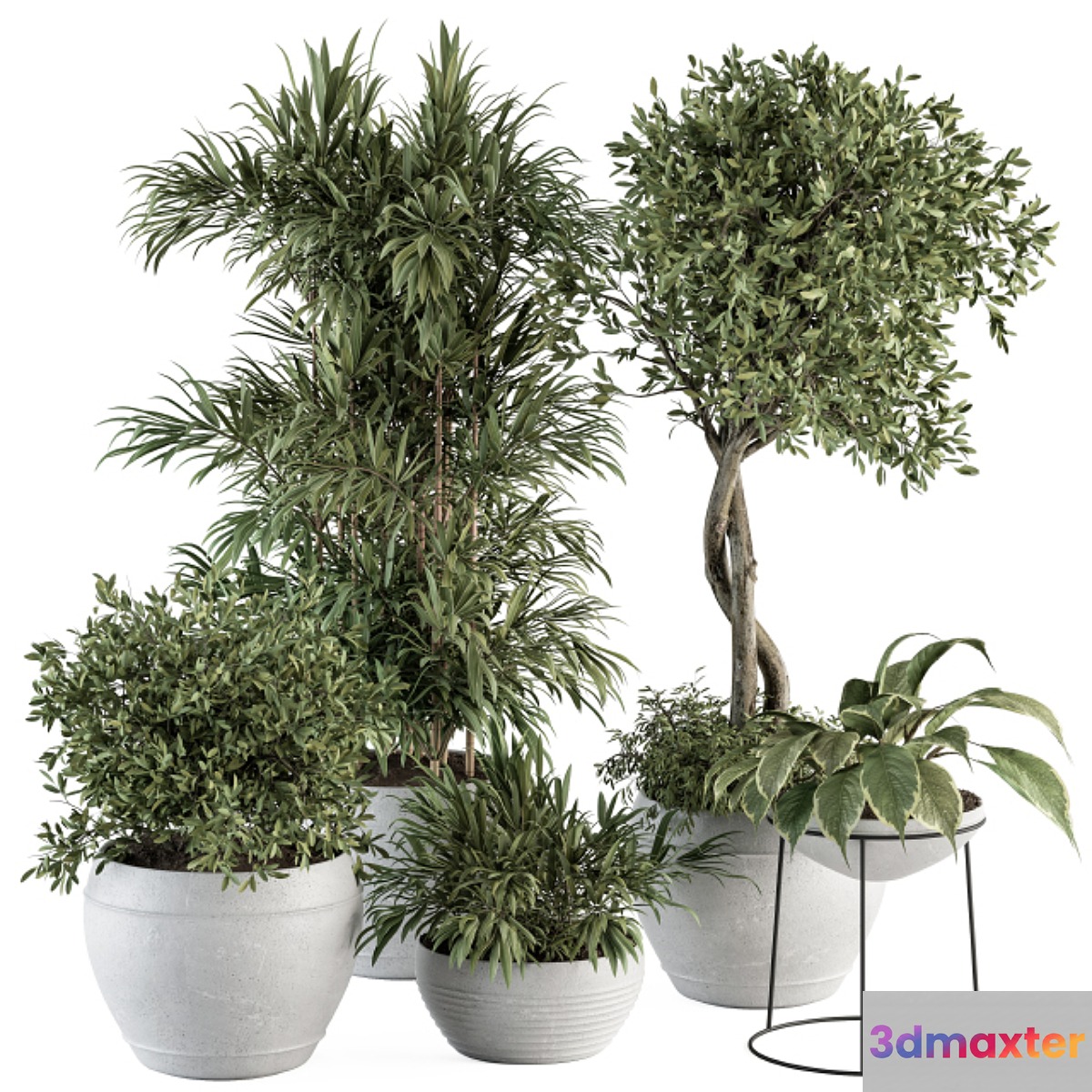 Outdoor Plant Set 323- Plant and Tree Set - No.2