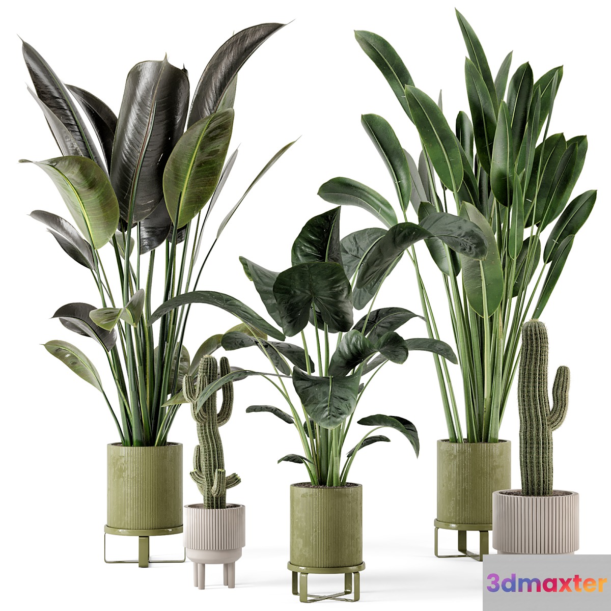Indoor Plants in Standing Legs Small Bowl Concrete Pot - Set 325