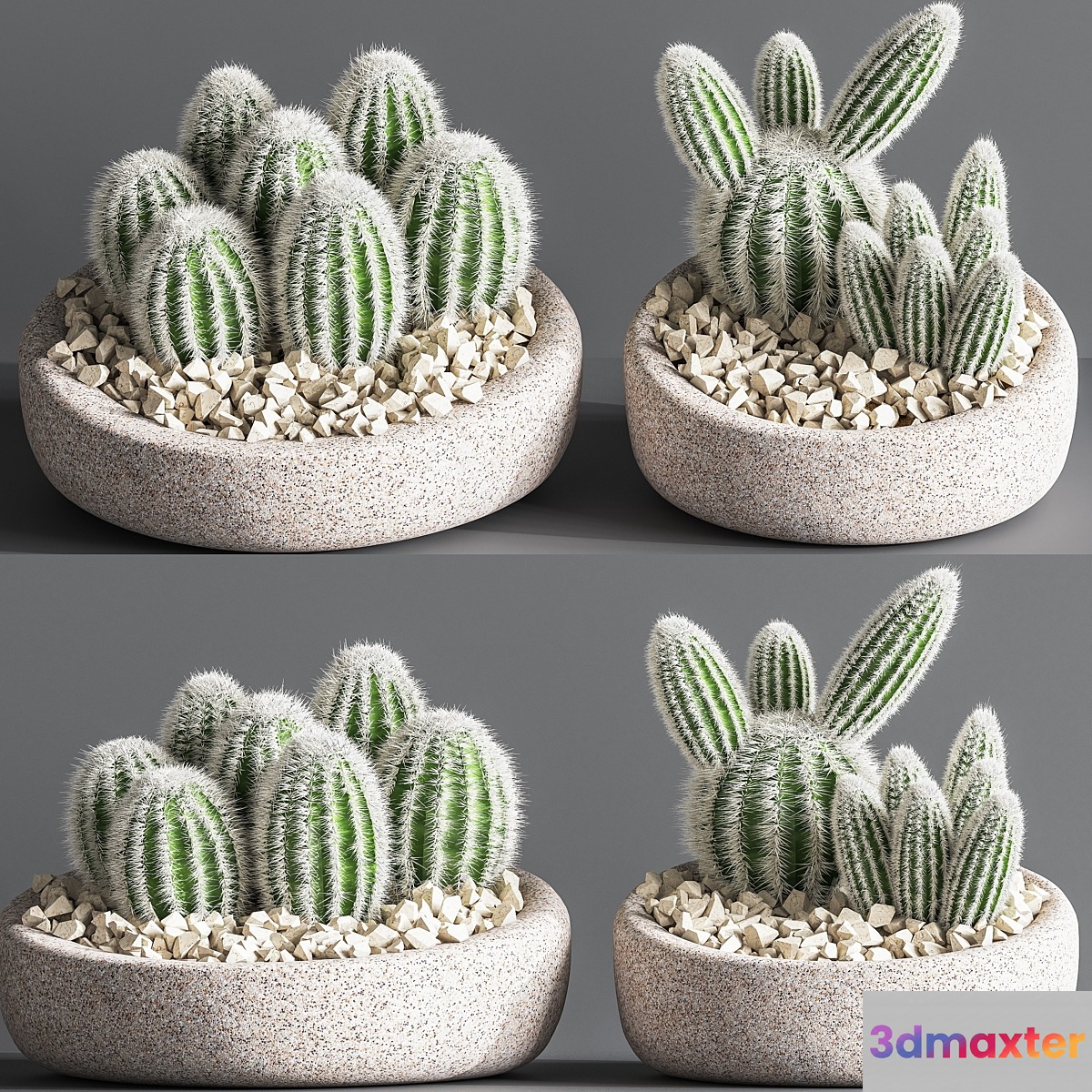 Cactus_01 3D Max Cactus_01 3D Max