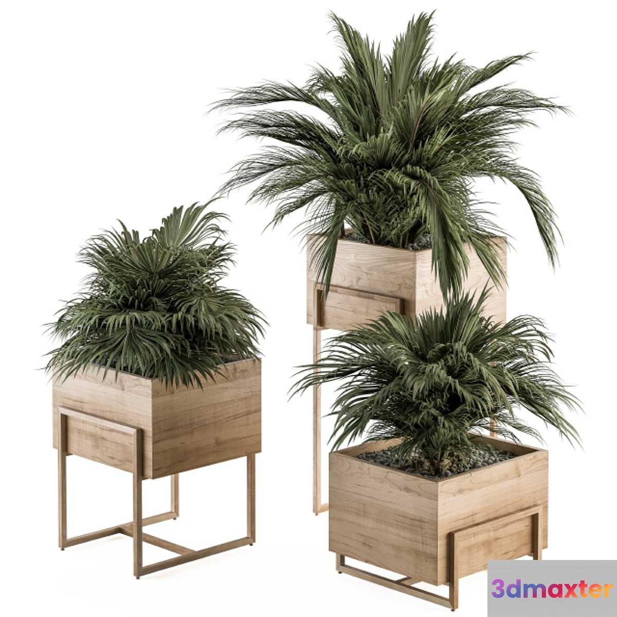 indoor Plant Set 318 - Plant Set in Wood Box