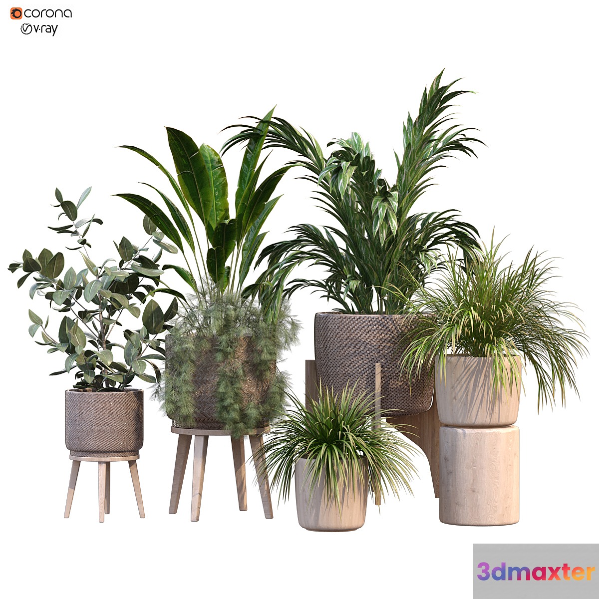 plant in vase collection set 214 3D Max