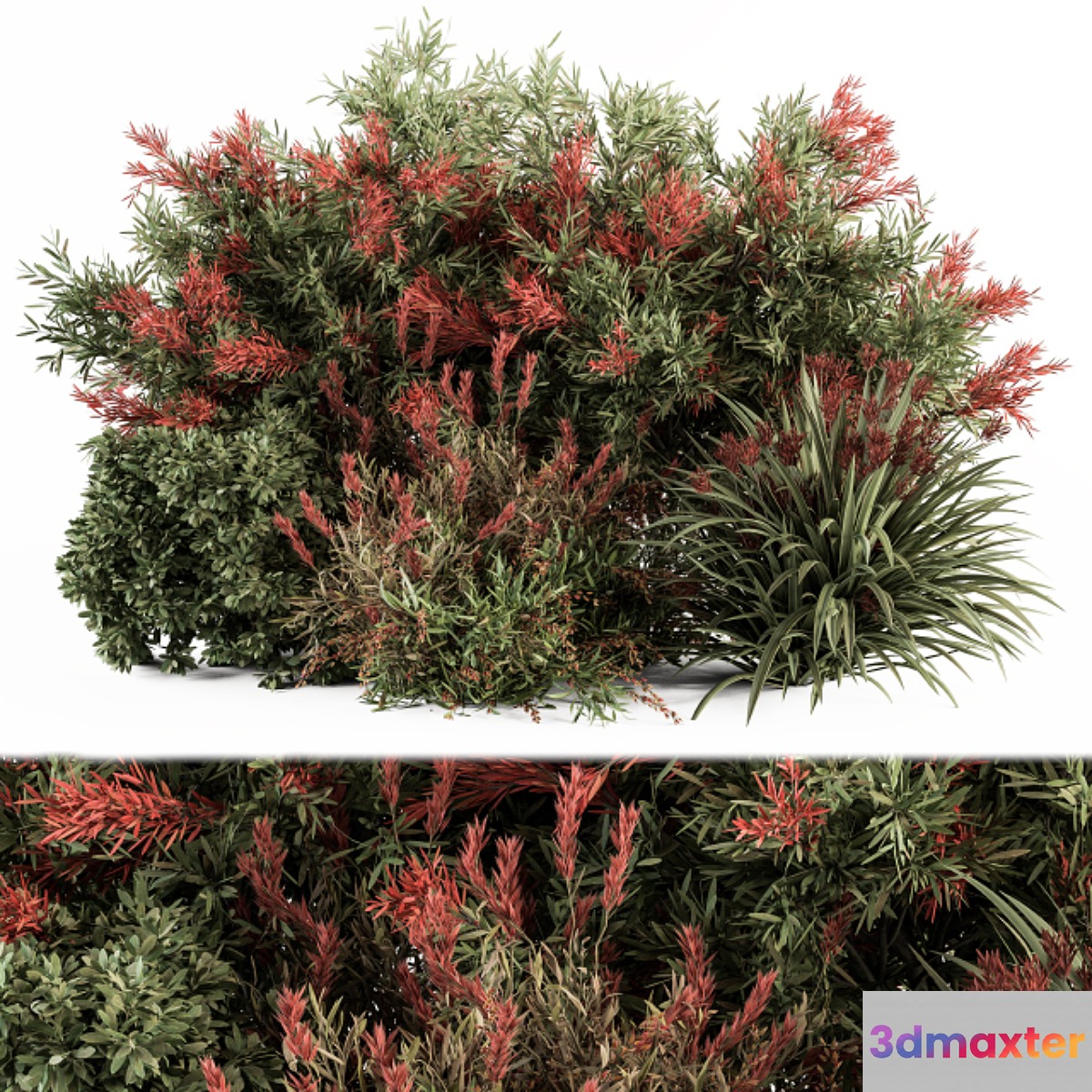 Mixed Plant Bush Green and Red - Bush Set 51 3D Max