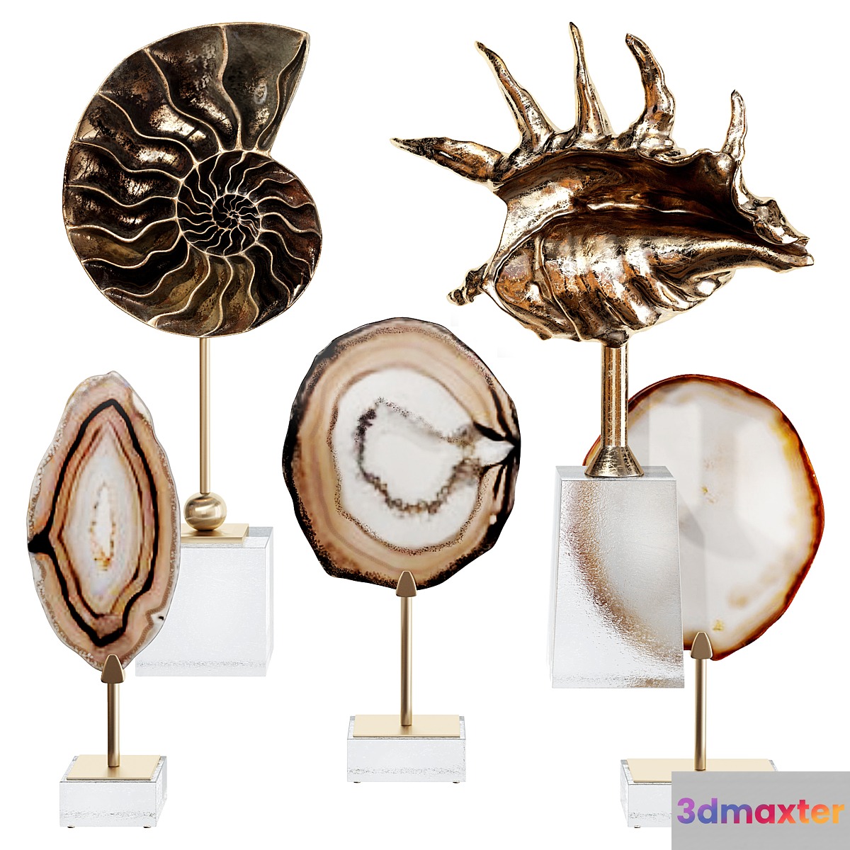 Sea shell decorative set 02 - No.2