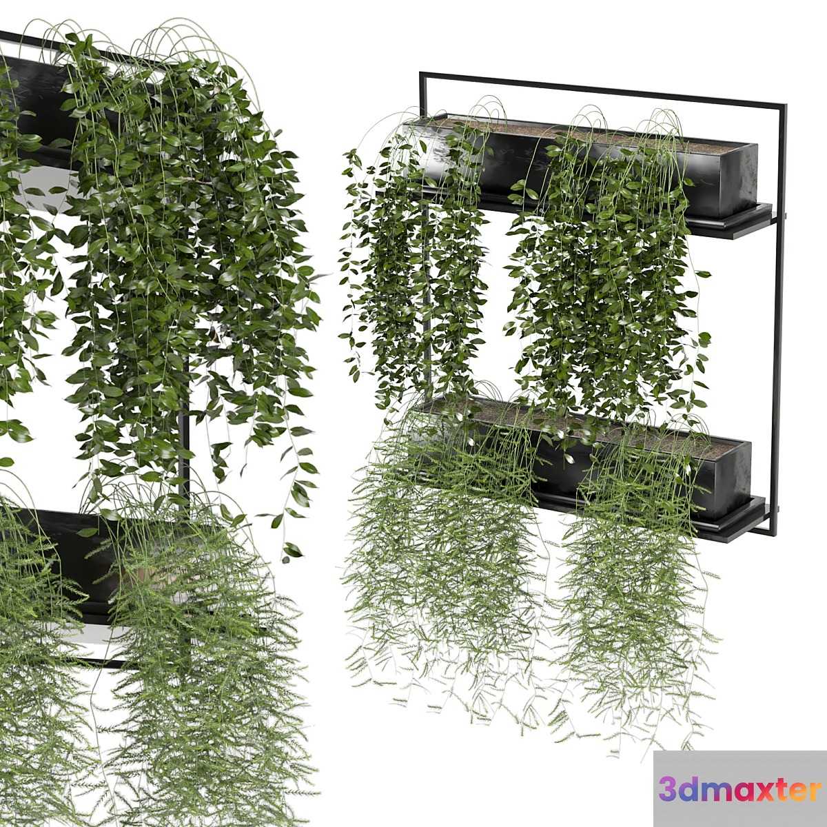 indoor hanging plants in metal box_set 142