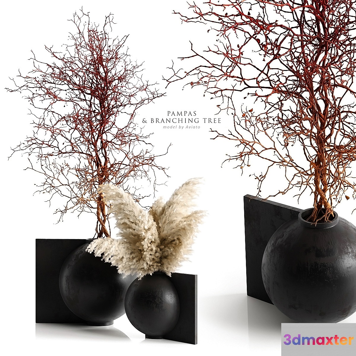 Pampas & branching tree - No.2