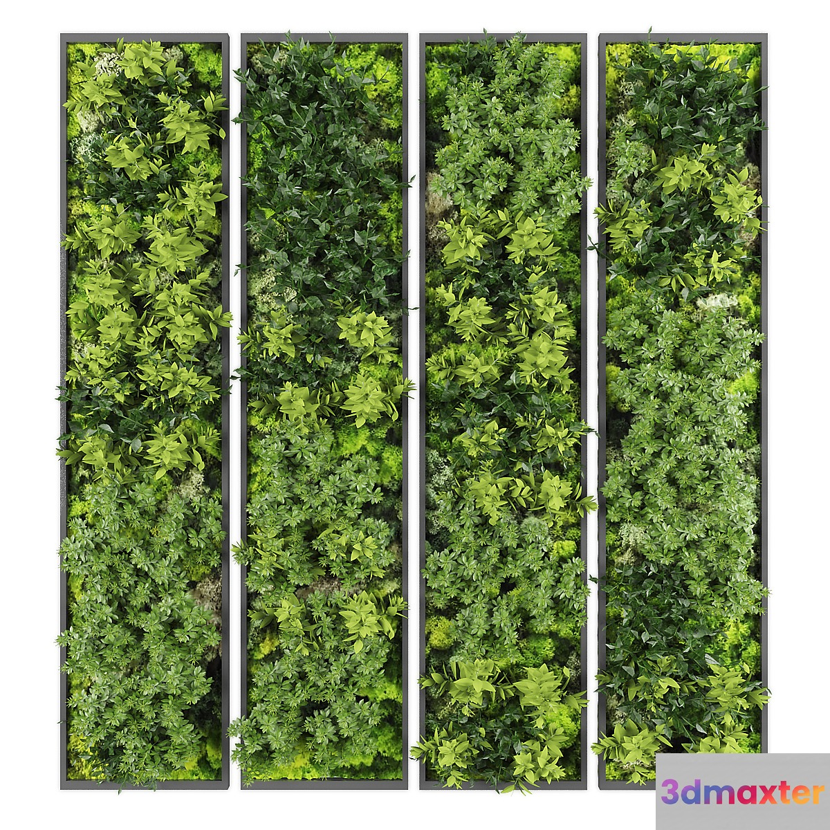 Vertical garden163