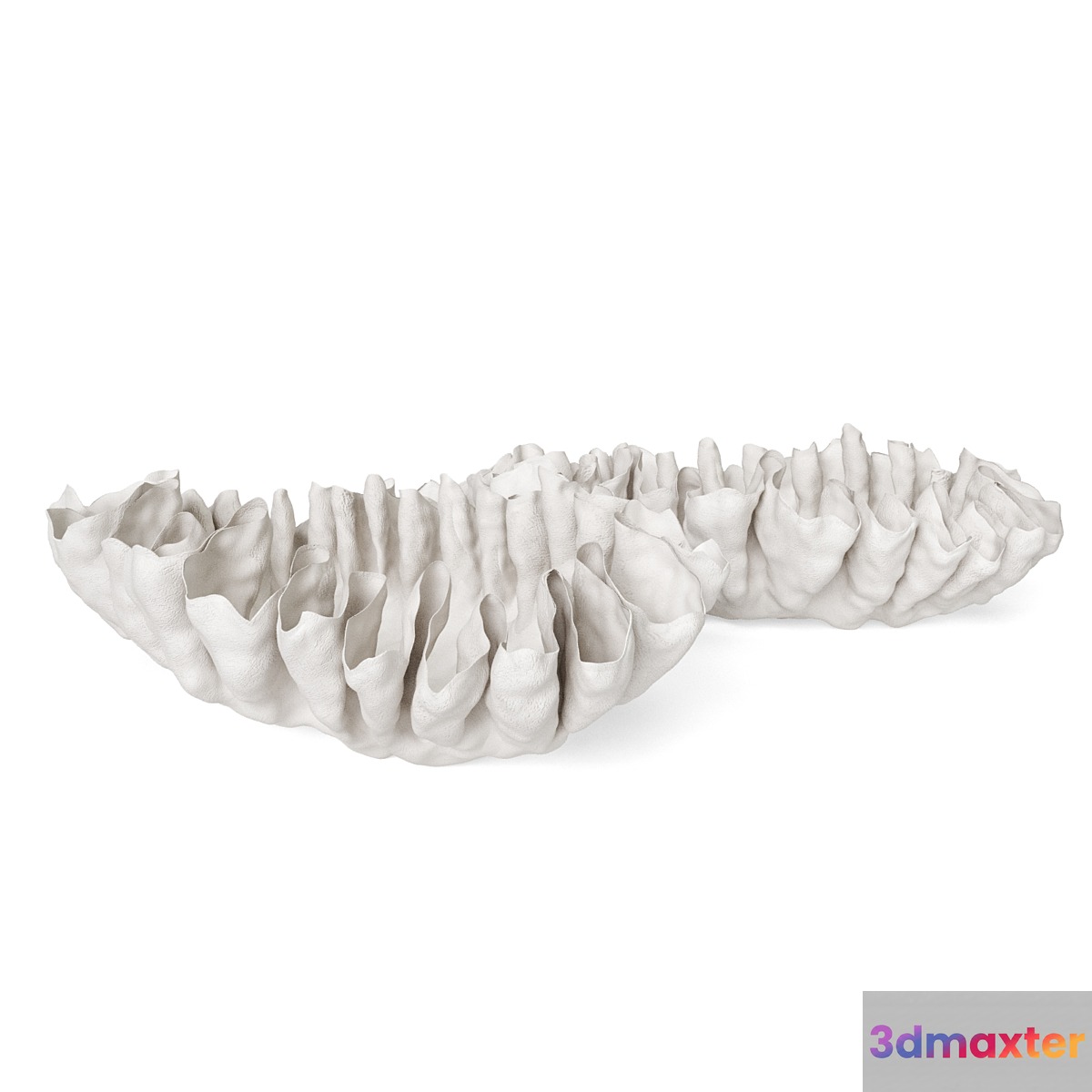 Svetlana Levadnaja Shell Vase