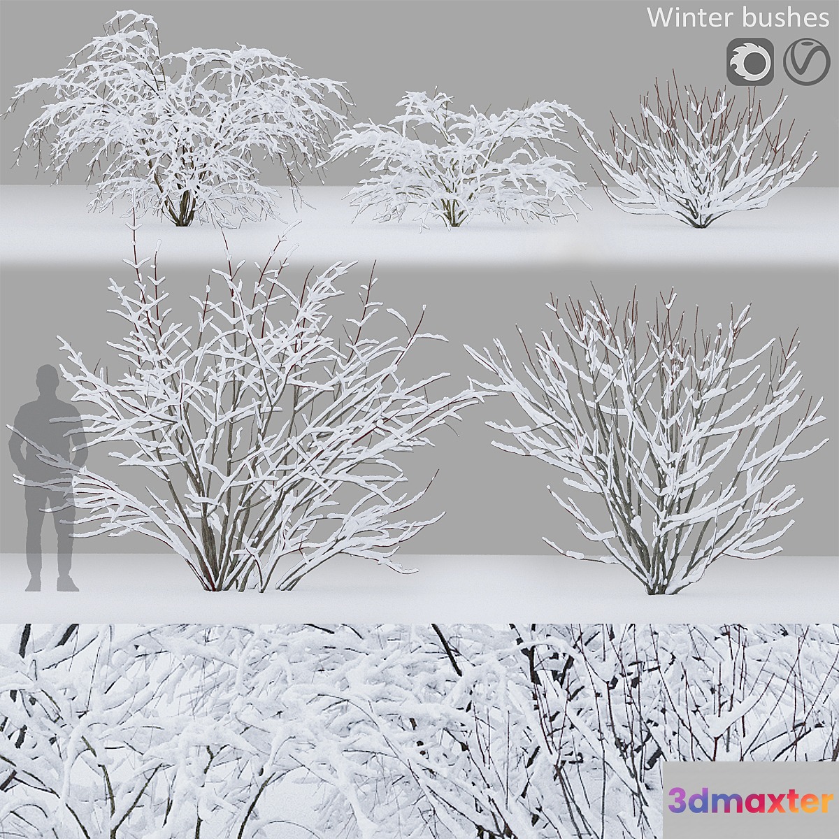Winter bushes # 1