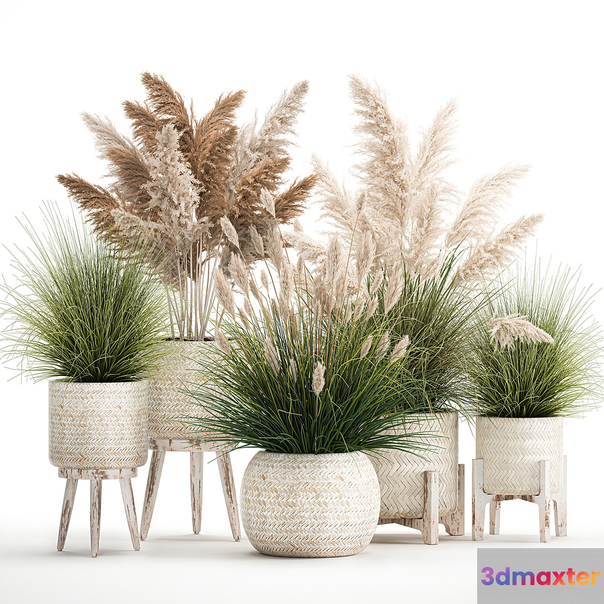 Collection of plants in white baskets and pots with Pampas grass rattan dried flower. Set of 1080
