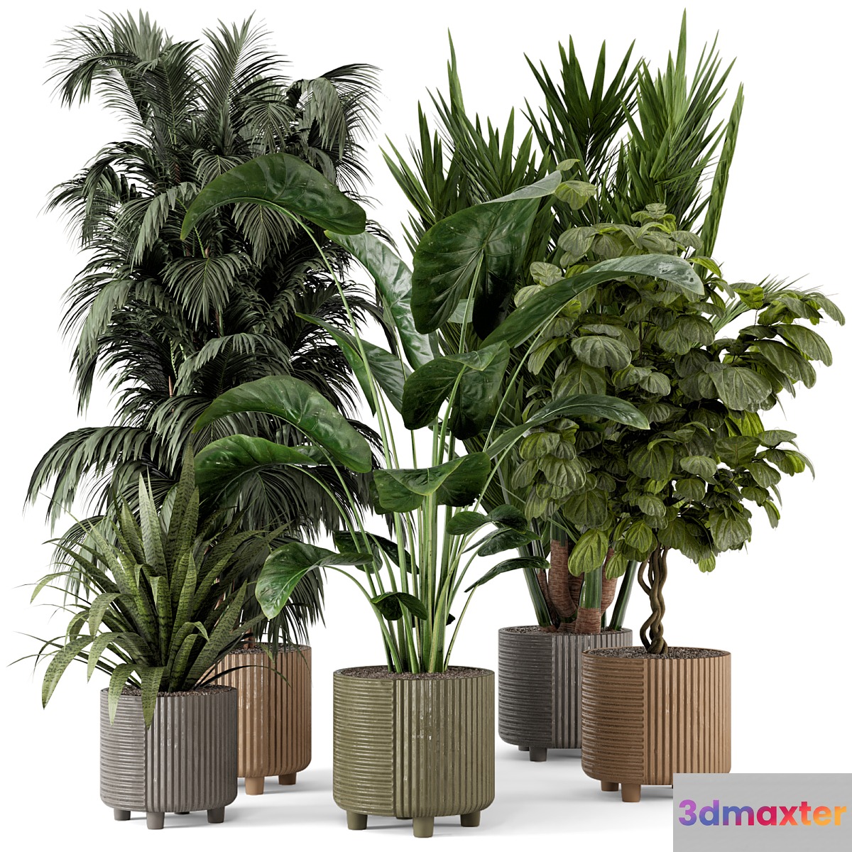 Indoor Planters in Cecilia Ficonstone Pot - Set 349