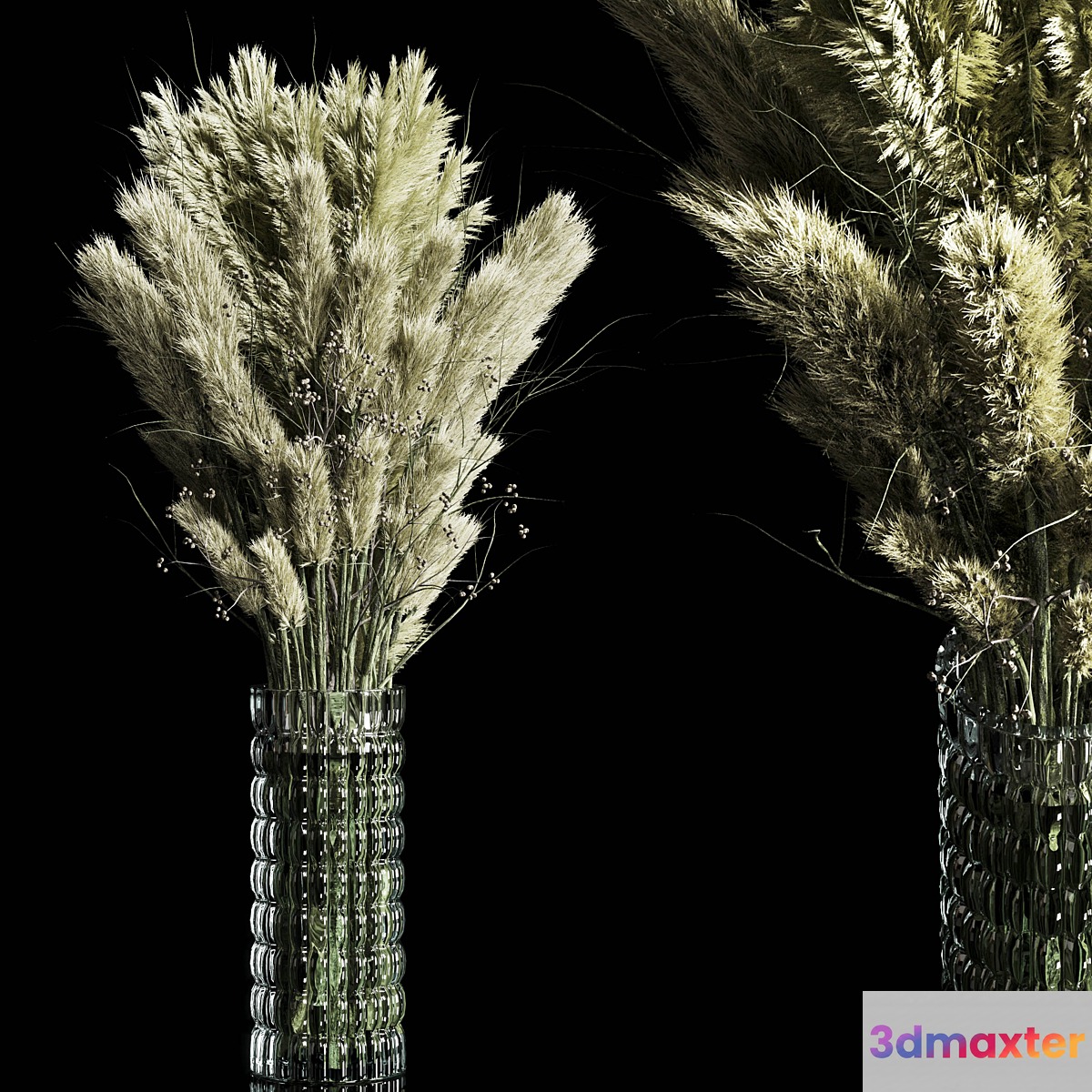Dry Plants pampas Bouquet Indoor glass vase - No.2