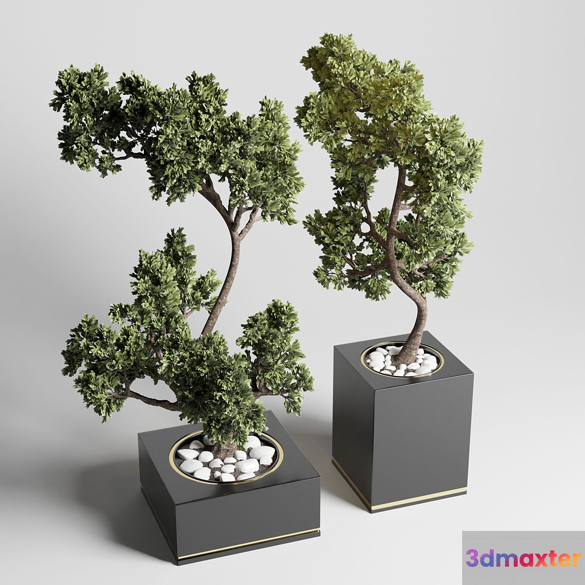 bonsai pot concrete vase pot tree