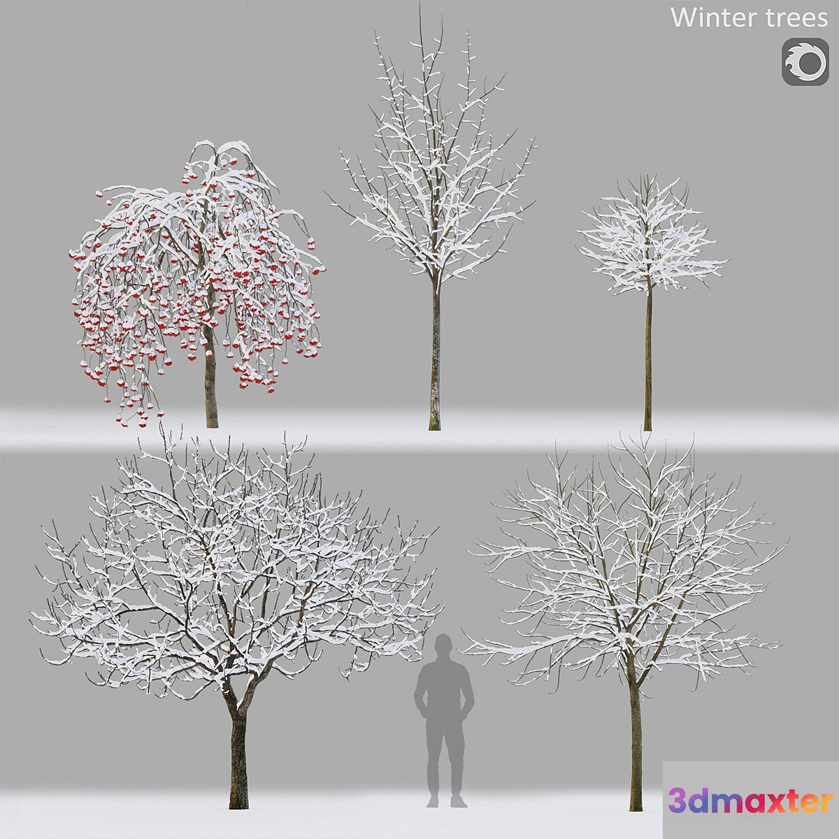 Winter trees # 1 - No.2