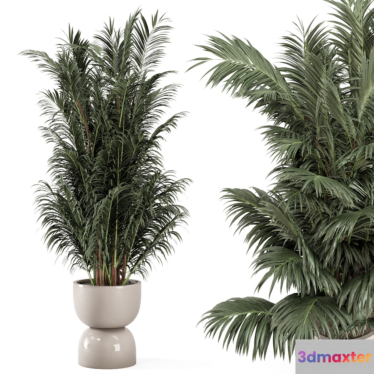 Indoor Plants in rusty Concrete Pot - Set 352