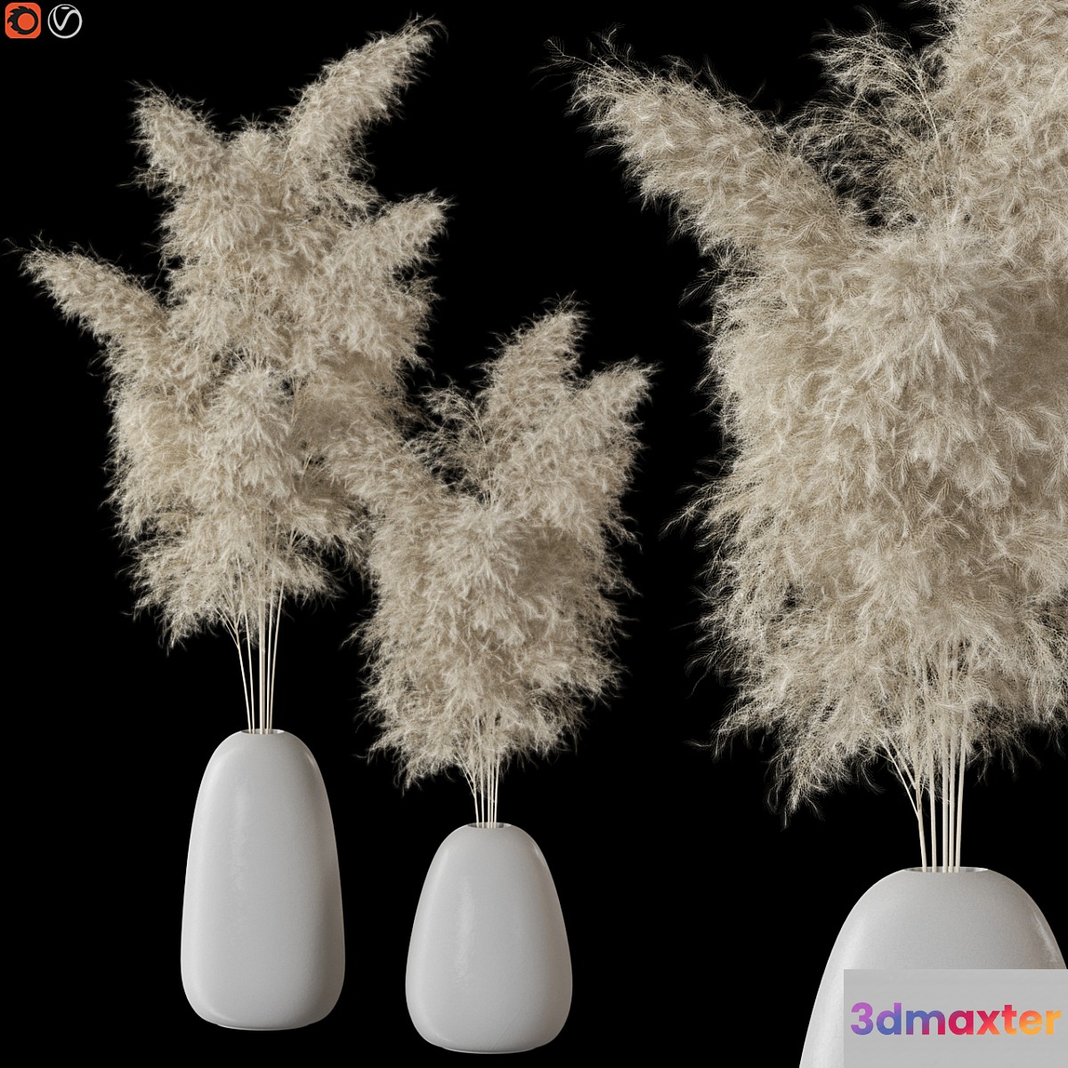 Decorative Pampas
