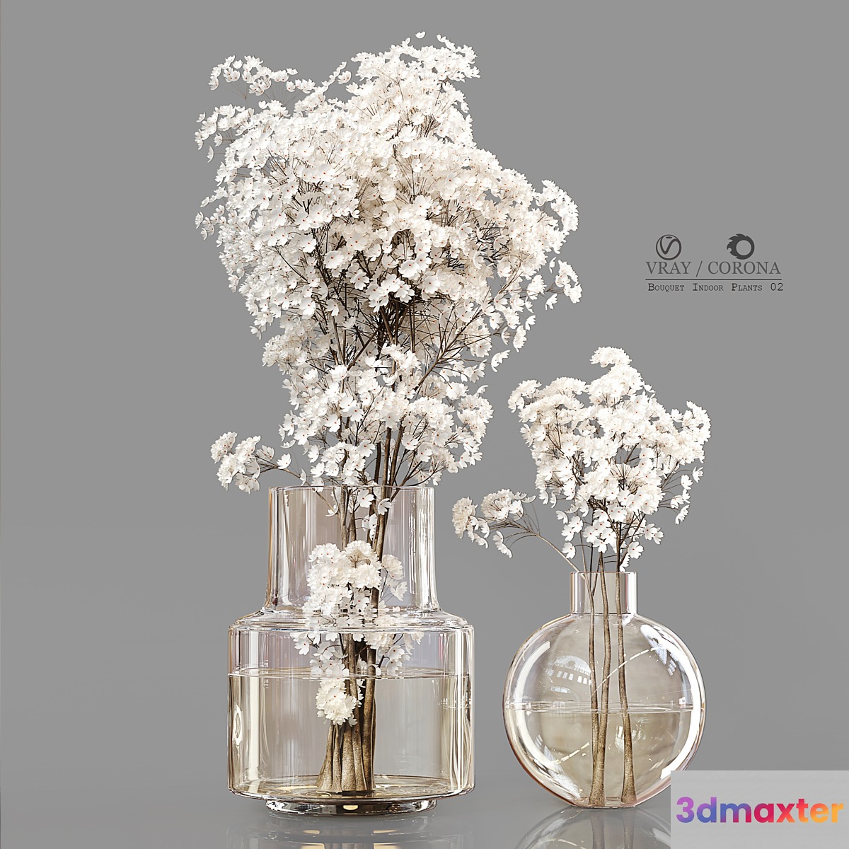 Bouquet Indoor Plants 02