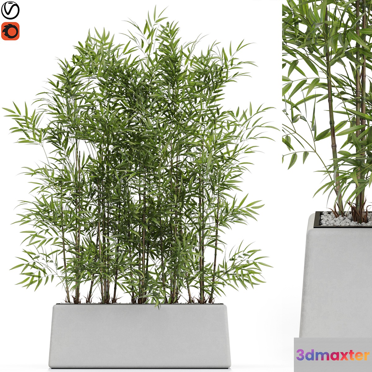 Plants collection 615 - No.2