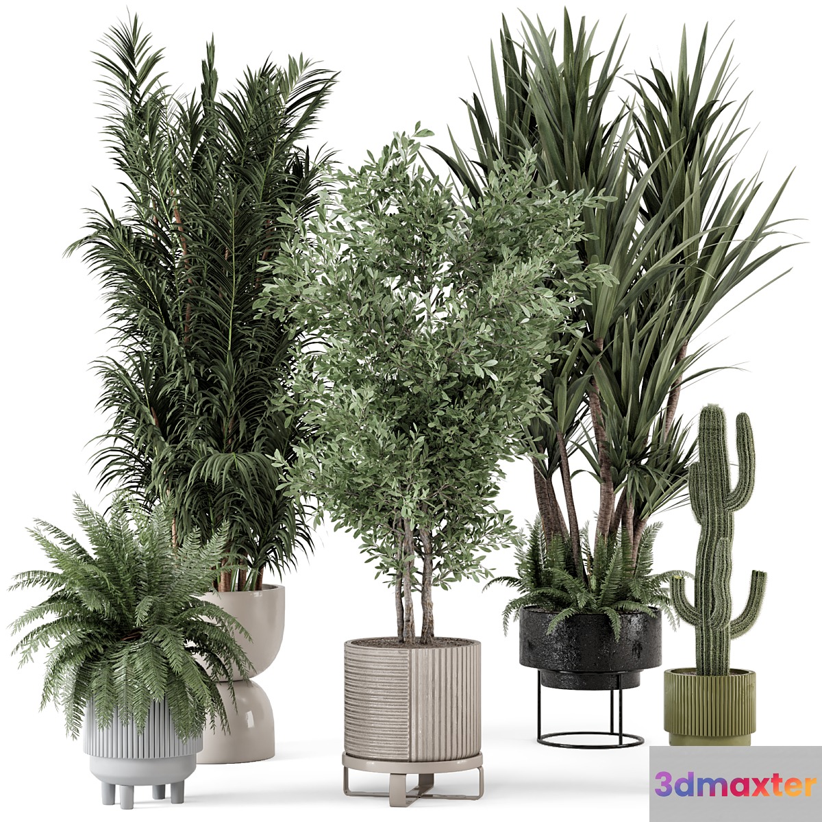 Indoor Plants in Ferm Living Bau Pot Large - Set 362
