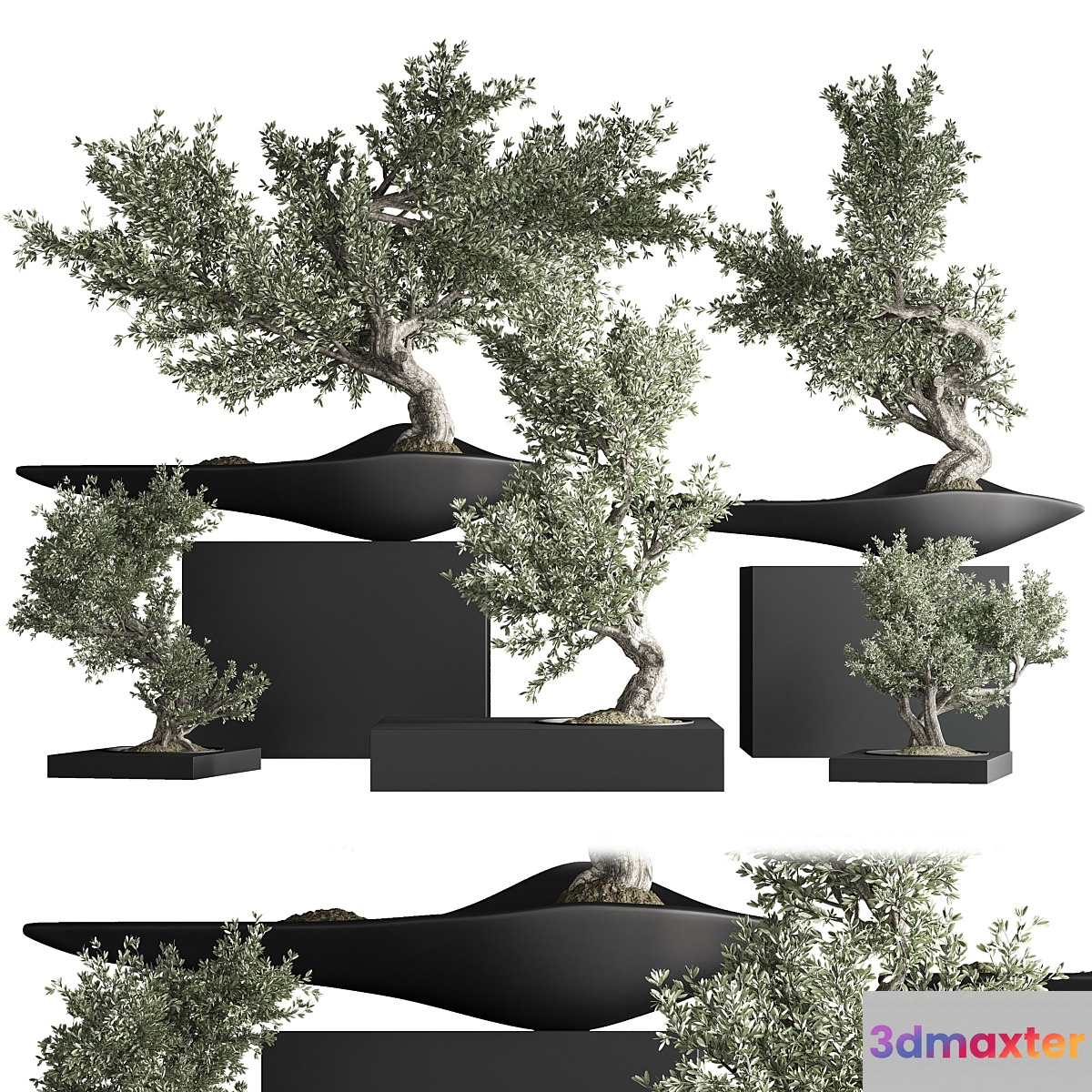 indoor plant bonsai set 35 indoor plant bonsai set 35