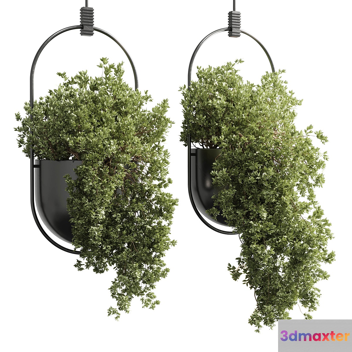 hanging pot collection indoor outdoor Indoor plants15-metal bax vase corona