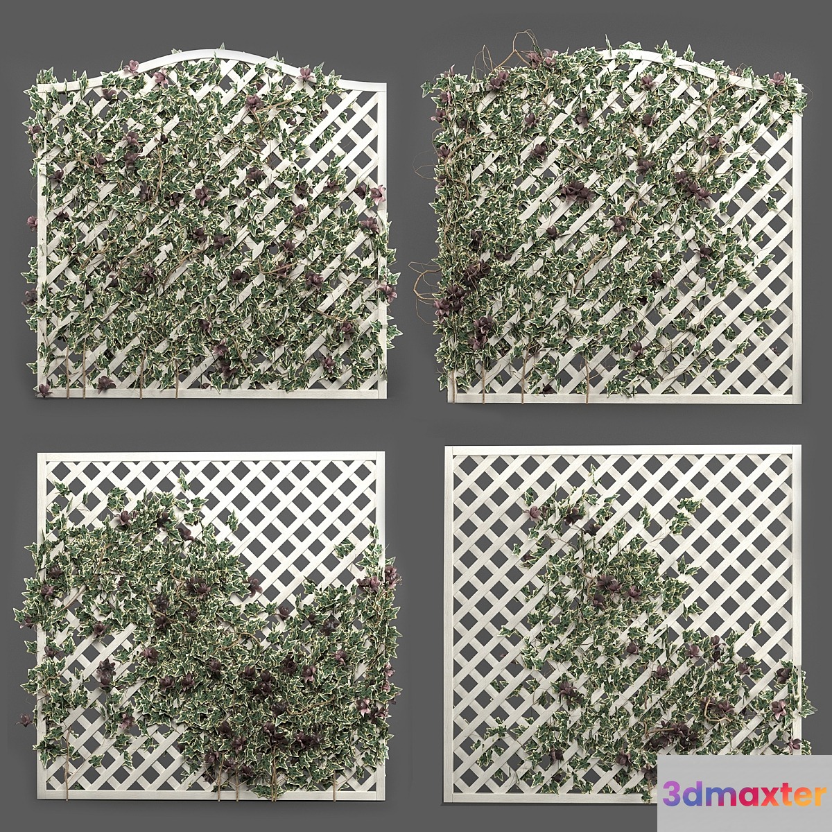 ivy grid panel( 4 different ivy composition)