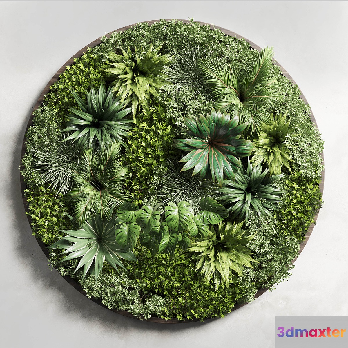 Circular Fitowall - Standing Garden - Vertical Garden from Indoor and Outdoor Plants Collection 13t collections - No.4