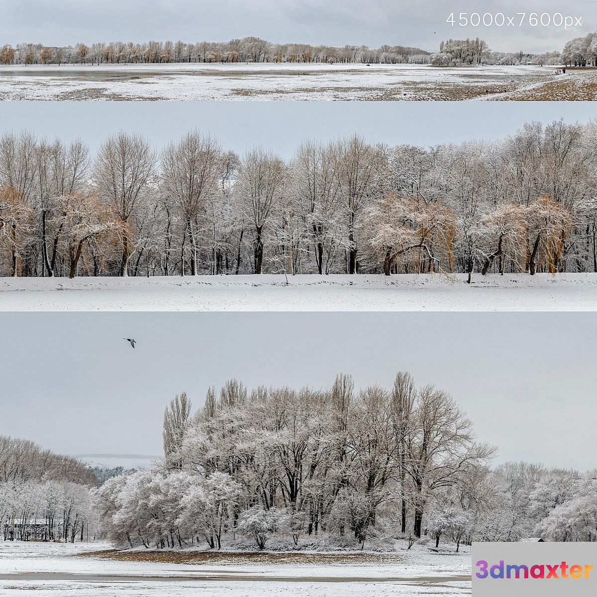 Panorama of the park with a lake and snow-covered trees. 45k - No.2