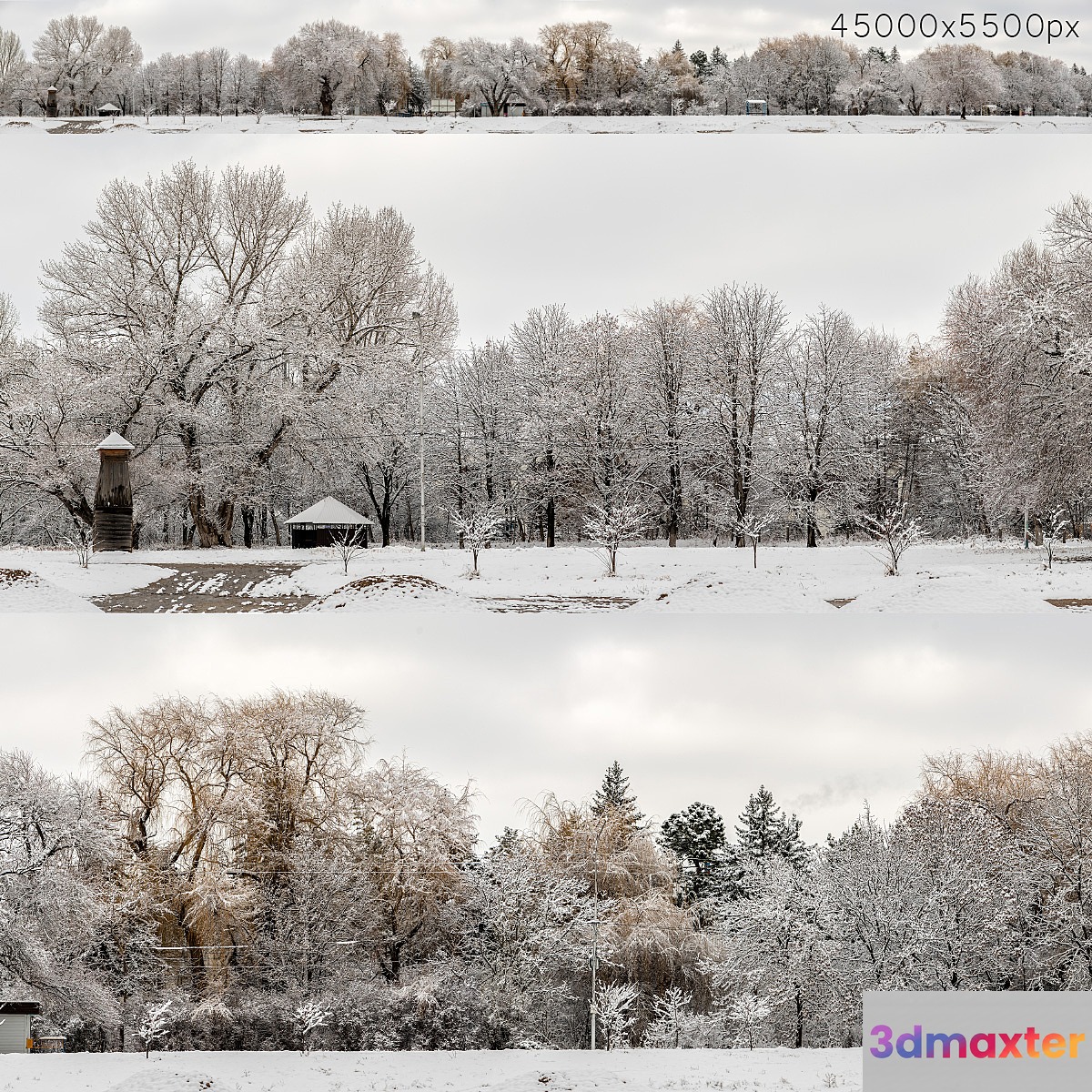Panorama of the park and snow-covered trees. 45k