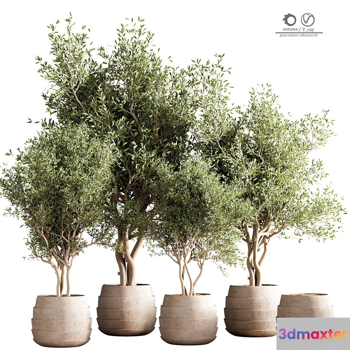 indoor plant stand 40
