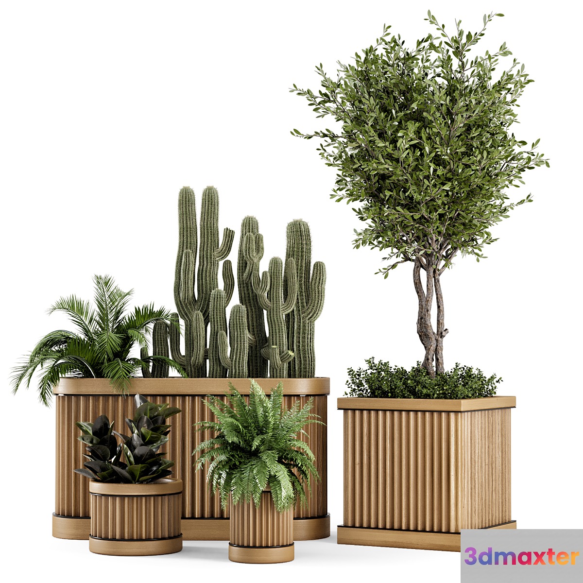 Indoor Plants Bush and Tree in Wooden Pot - Set 401