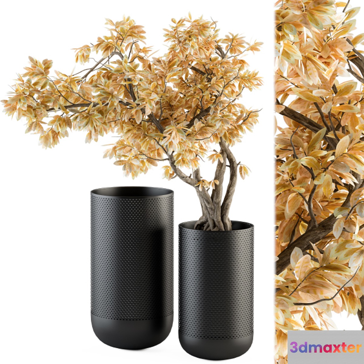 Bouquet Set - Autumn Branch in Black Vase 78