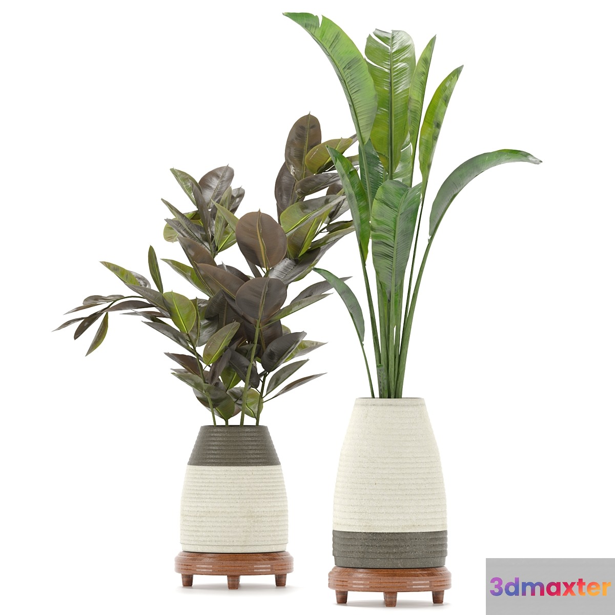 Collection Indoor Plants Set Nim01