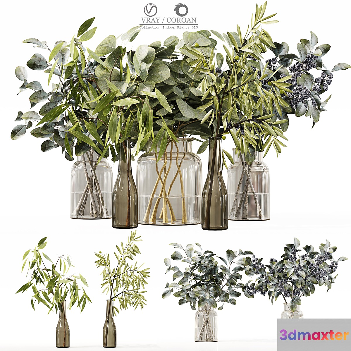 Collection Indoor Plants 013