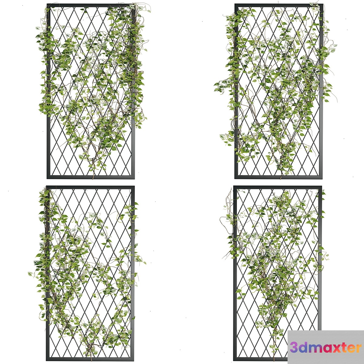 Ivy_Plants_04 3D Max