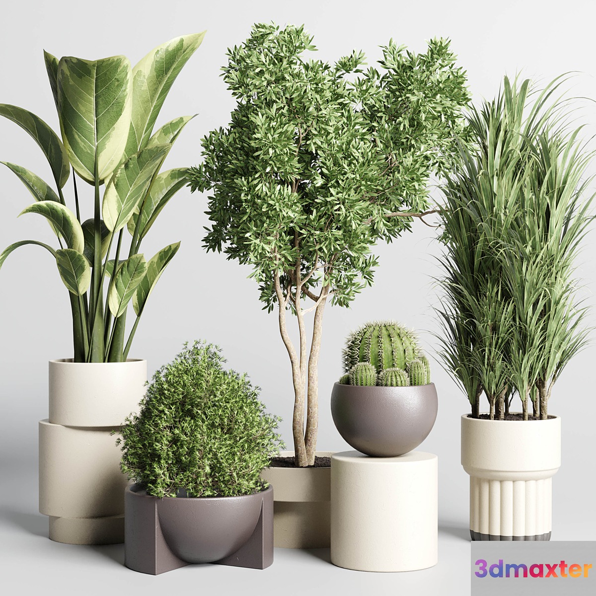 Collection of indoor plants with modern minimal pots 170 3D Max