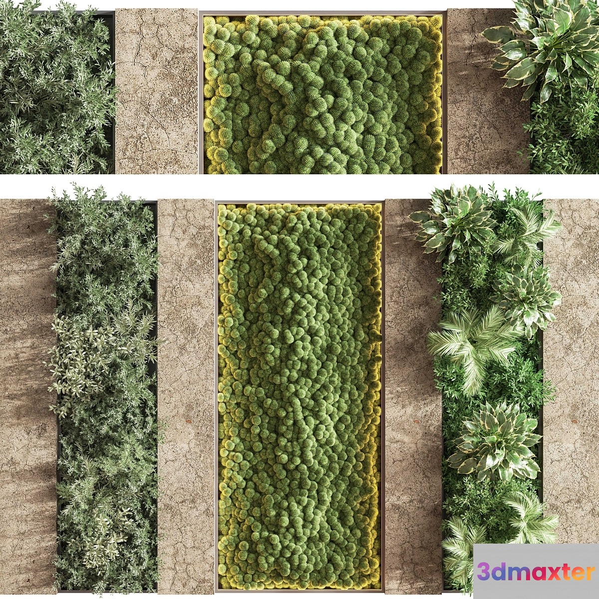 Concrete and Vertical Garden 02 3D Max