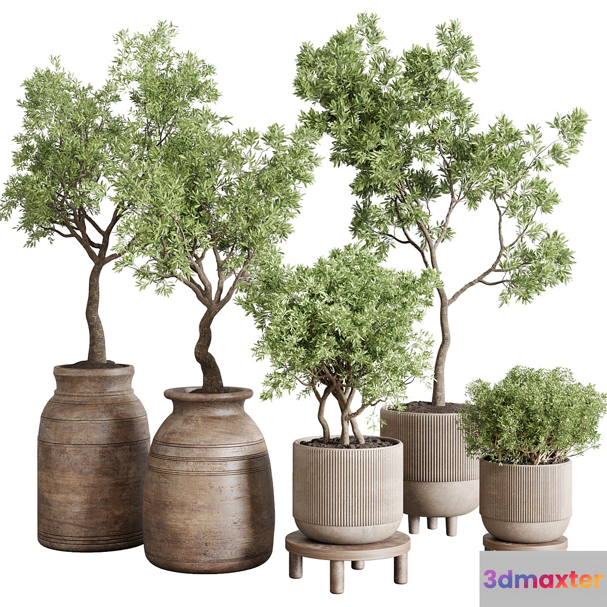 wood collection indoor outdoor plant 141 vase concrete old pot tree vray - No.2