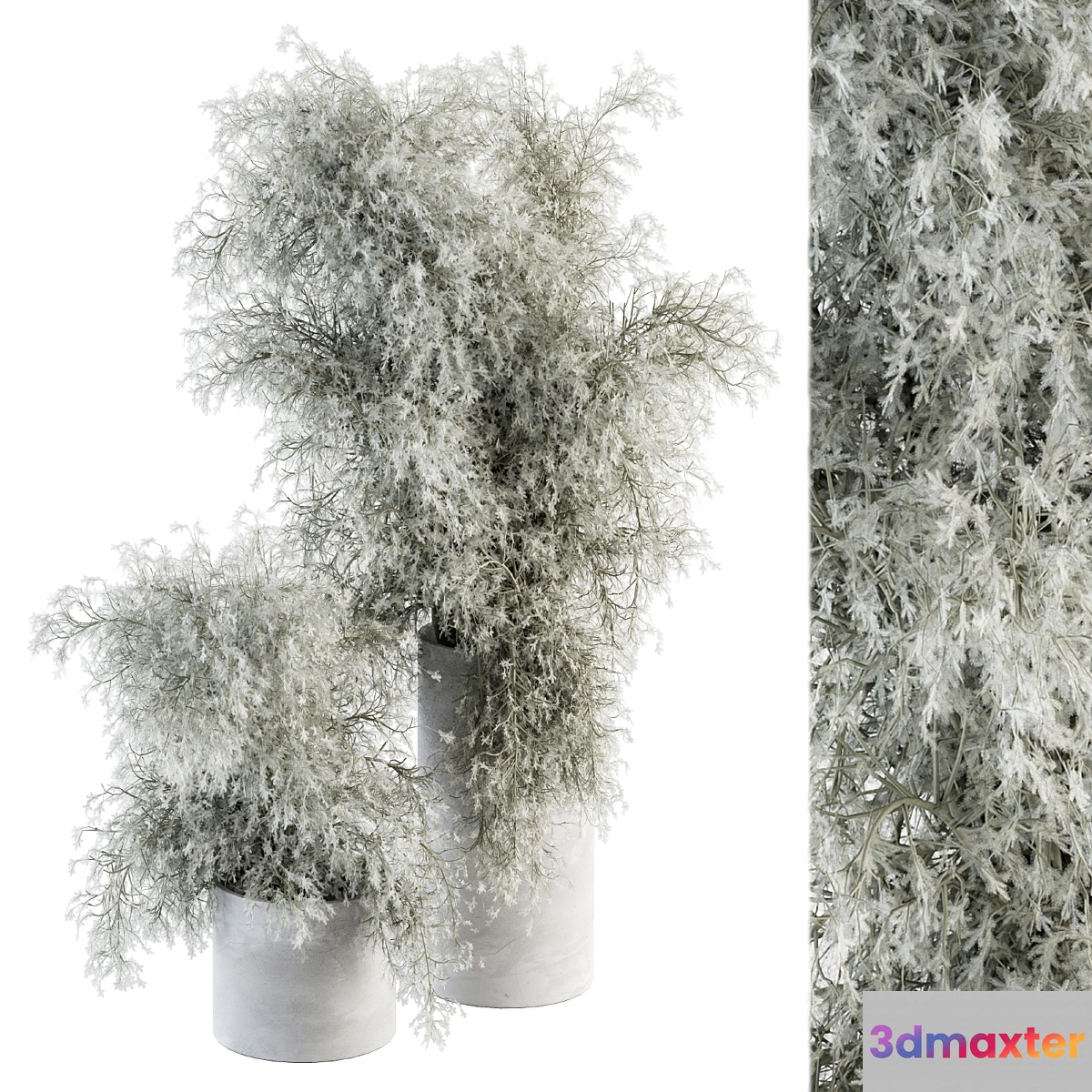 Bouquet - Green Branch in Concrete vase 79