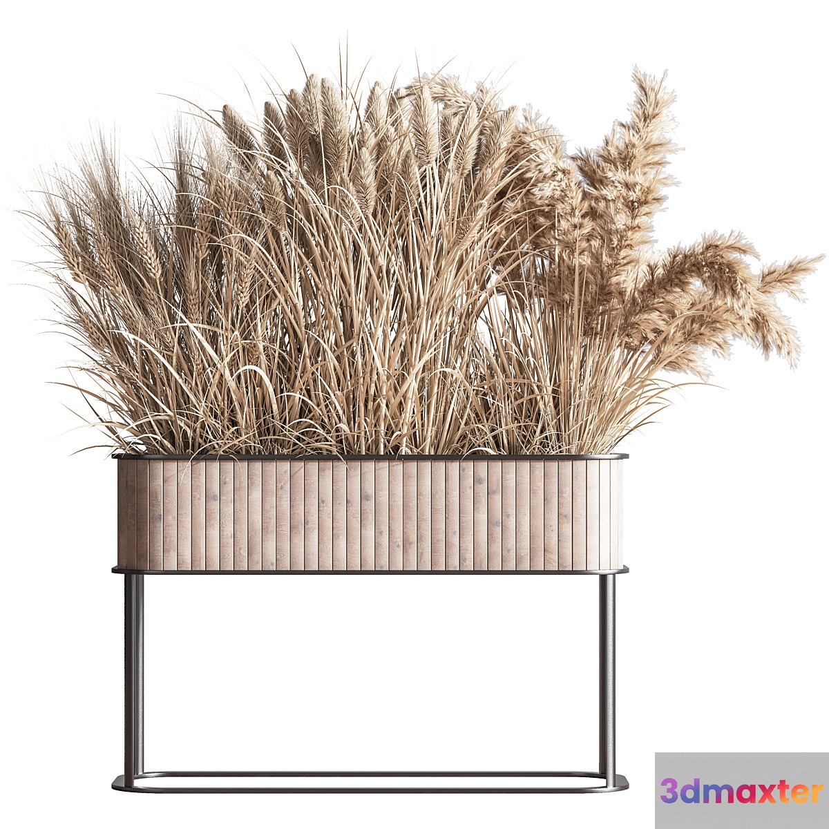 Indoor_Plant_Set_76(Dry_flowers_)