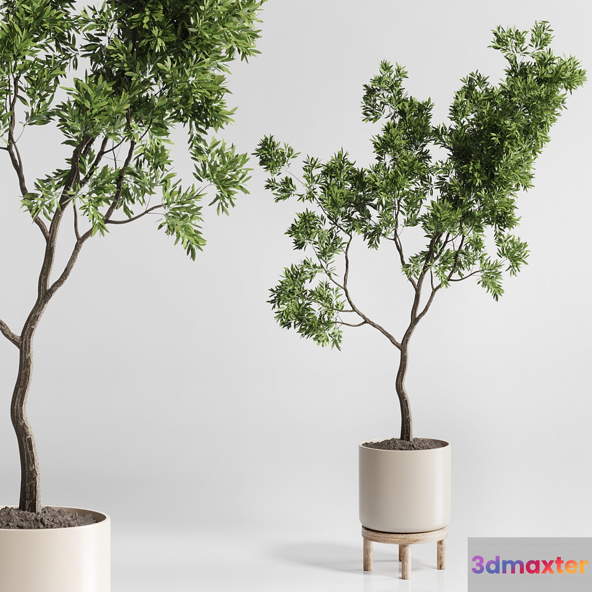 Indoor plant 176 wooden vase plant tree pot