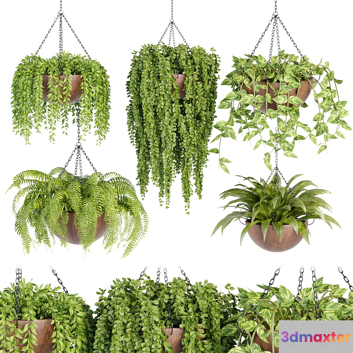 Hanging plants collection vol 33