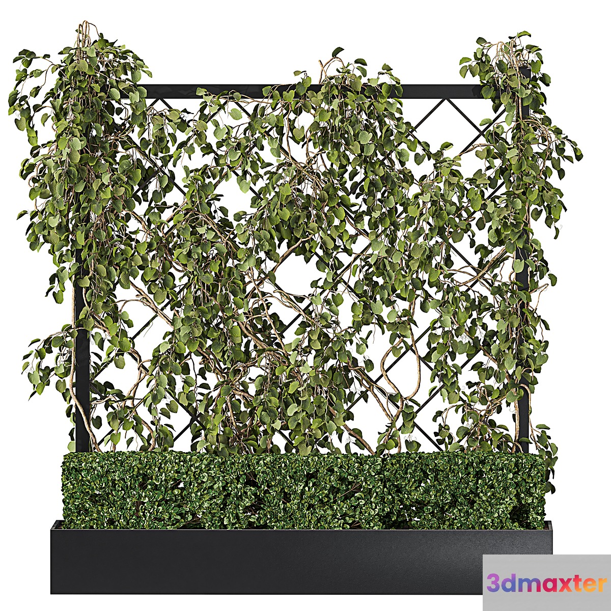 Vertical Garden - Planter with trellis 3D Max